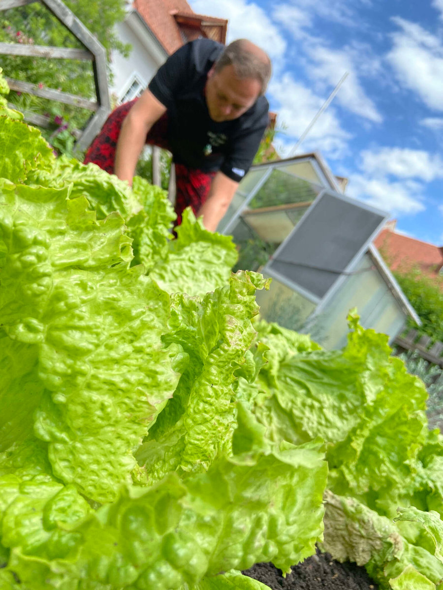 frischer Salat vom Gasthof zum Mohr’n Familie Tanner